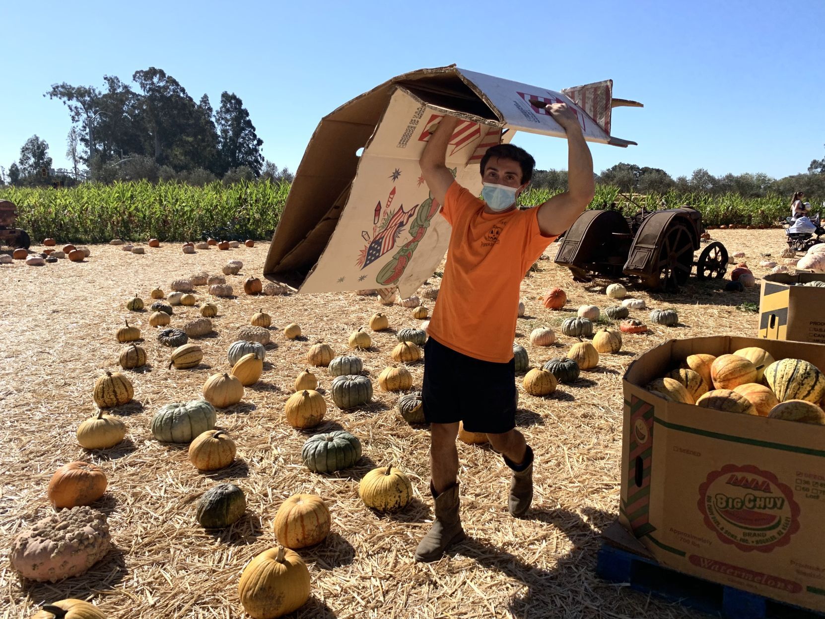 2020 pumpkin patch